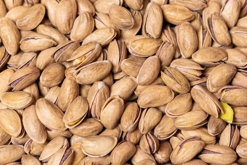 ANTEP FISTIĞI ASKARA L.K 1